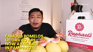 Famous Davao Pomelos are now available in Pampanga