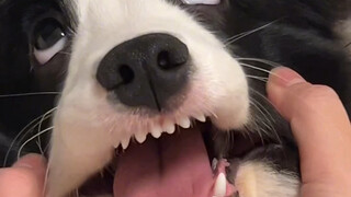 Mommy Sauce, if you keep this up, I'm calling the police!!