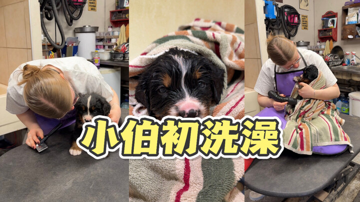 Mandi pertama si Bayi Bo～