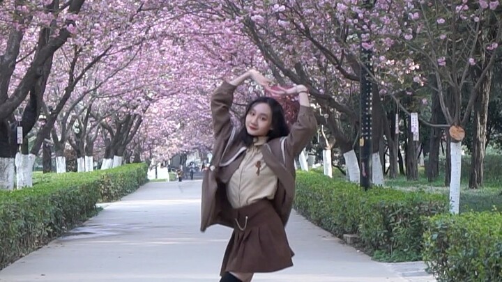 【Liên hợp 5 trường】Bạn đã xem thành phố âm nhạc dưới tán hoa anh đào chưa? Đồng Châu, Nam Khai, Đại 