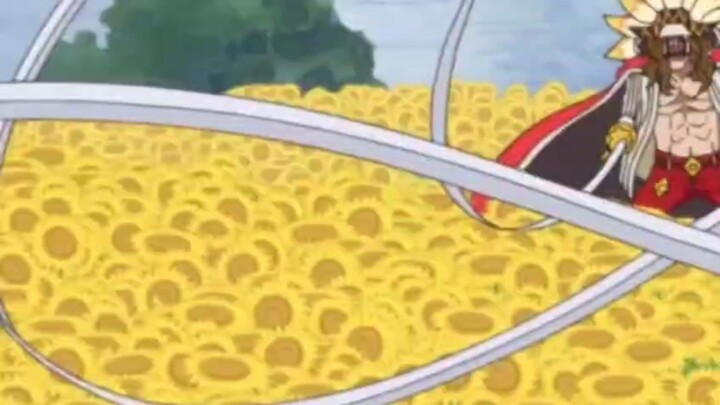 bunga matahari one piece