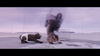 Cat & Dog – The Great Crossing / Chien et chat b watch full movie : link in dscription