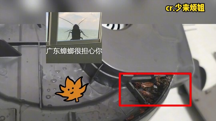 Jeda internet dulu, aku bakal bongkar semua peralatan rumah tangga dulu #Kecoak #PenanakNasiListrik 