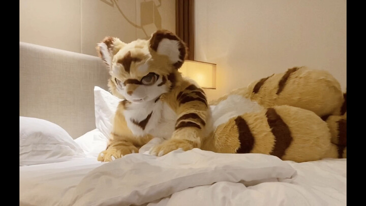 One bed can't accommodate two 🐯