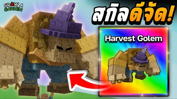 ลองใช้ Harvest Golem หุ่นฟางยักษ์! | Grow a Garden | AFK ฟาร์มได้ โคตรดีเลย