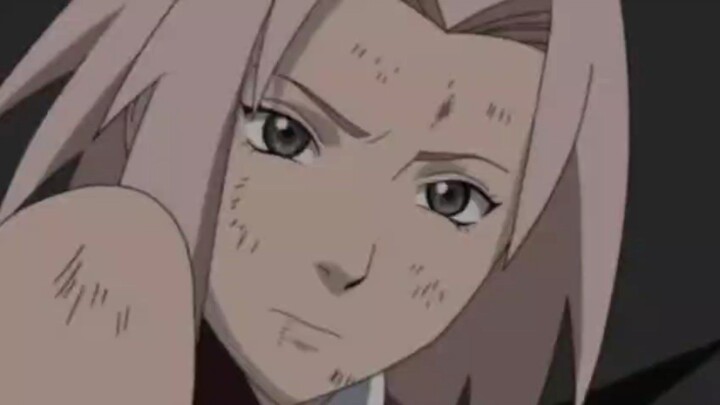 sakura