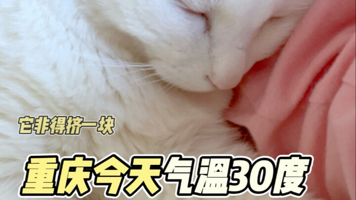 You have to squeeze in next to me.