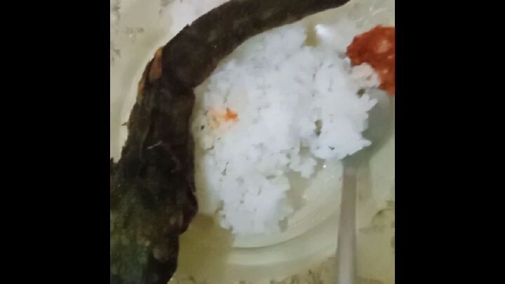 nasi ikan lele goreng