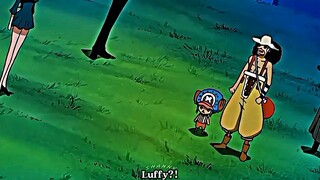 Luffy: siapa tkt