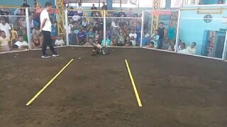 anayan pili sport complex sweater loss