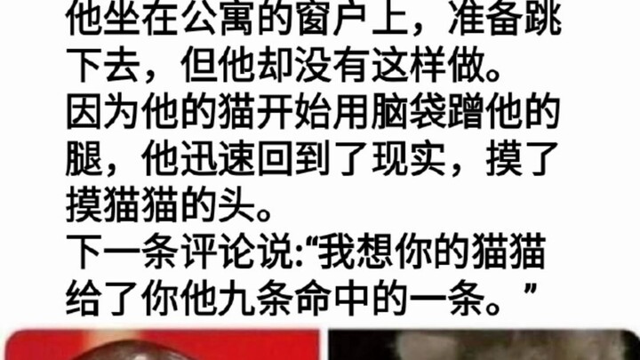 “القطط تنقذ الأرواح، القطة رائعة!!!”