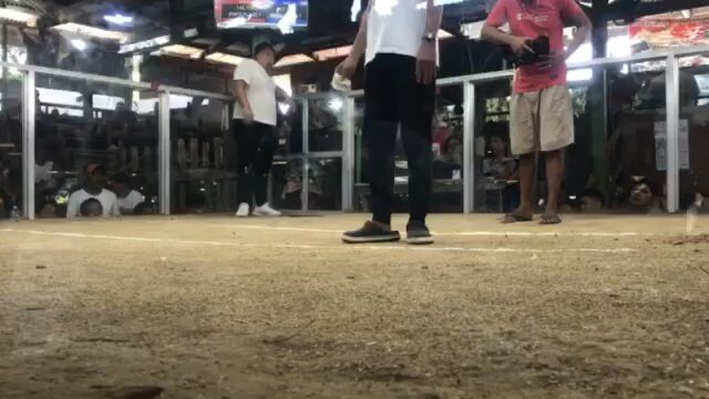 5 stag derby catanauan CSU GF