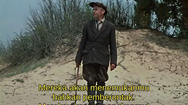 Datang dan Lihat 1985