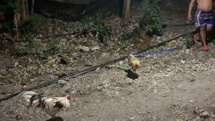 puros nagpractice.. baw2 sa tuo akoa.. gituo ang kontra… namatay sa bunal wala sa buwang