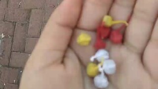 There is an element of gambling in this firecracker throwing