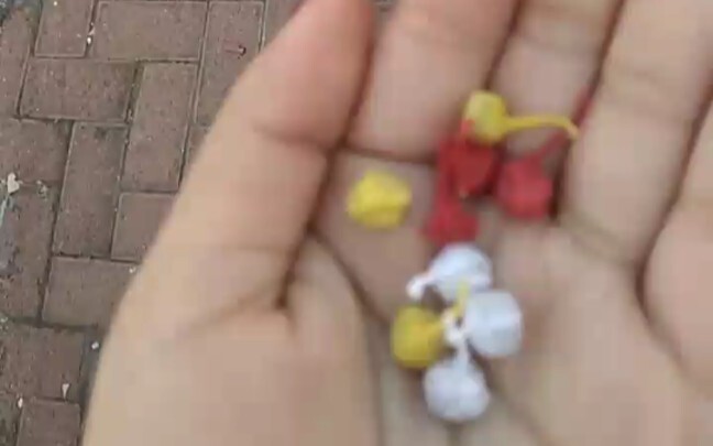 There is an element of gambling in this firecracker throwing