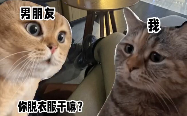 Khi tôi nói với bạn trai rằng tôi là người ăn chay
