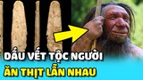 💥Phát hiện dấu vết tộc người ĂN THỊT LẪN NHAU sống vào 40.000 năm trước | TIN GIẢI TRÍ