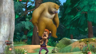 Three bears are not as strong as a bald head