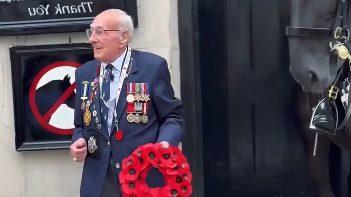 British Royal Guards Meet an Elderly Man Wearing Medals
