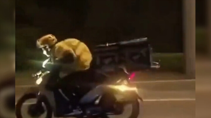 Delivery Driver: I won’t let a single customer go hungry!