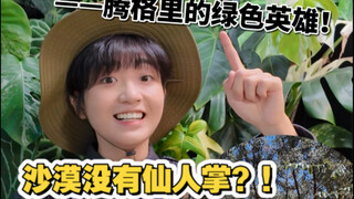 Ah! So it turns out not all deserts have cacti after all!!