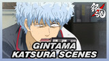 [Gintama] Katsura Scenes / EP253-256: Golden Spirit_A