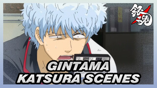 [Gintama] Katsura Scenes / EP253-256: Golden Spirit_A