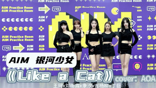 AIM银河少女｜《猫步轻俏（Like a cat)》翻跳练习室完整版来喽～