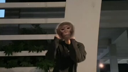 เจ้าหญิงทั้งหลายโปรดเรียนเต้นรำ