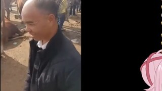 Japanese goblin watching ⟪ "Disappearing Merit"⟫