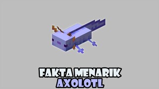 Fakta Menarik Tentang Axolotl Di Minecraft #Shorts