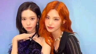 【黄礼志/金旼炡】猫猫狗狗《Untouchable》舞蹈挑战