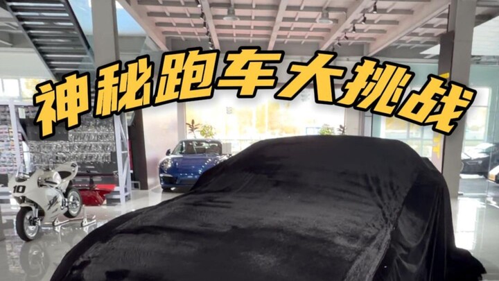 Mystery Supercar Challenge: My Older Sister, Still Mad About Last Time, Is Back to Test My Car-Guess