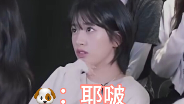 【โยวหยวน】“บันทึกความน่ารักของอันโย่วเจิน” “ยวนอิงสวยจริงๆ เลย” “ยวนอิงสวยเป็นพิเศษเลยนะ”