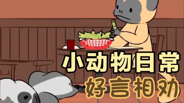 Kind Words and Gentle Advice 🐒🎋☠️ [Daily Life of Little Animals | Natural Habitat Shorts] Chinese-En