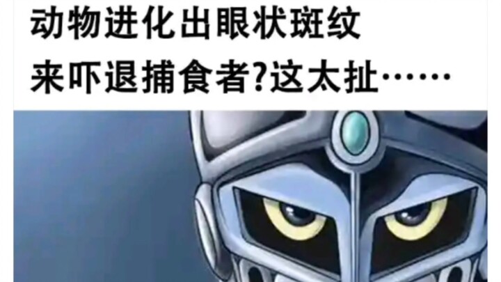 这就是我必须每天上贴吧的原因