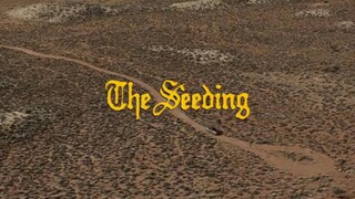 THE SEEDING