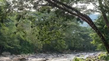 nature's best