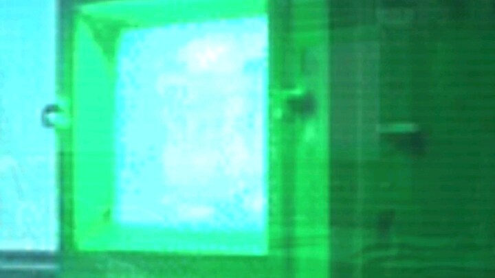 Employee memo . Draco Corp