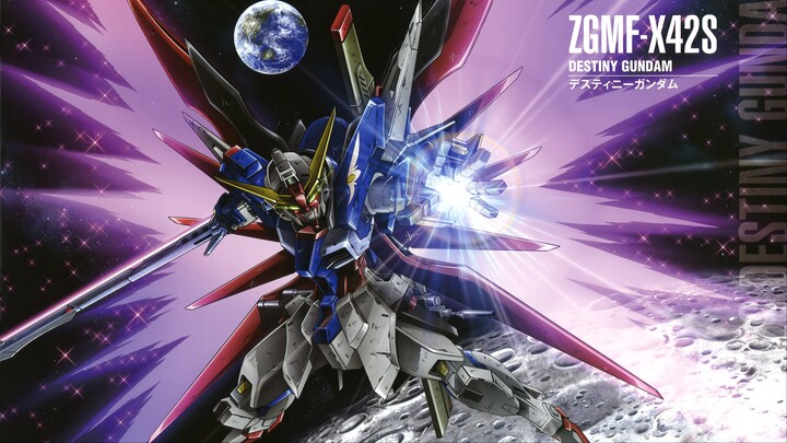 Mobile Suit Gundam Seed Destiny - 04
