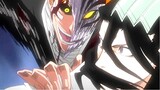 Ichigo vs Byakuya - Bleach [Full Fight] English Sub