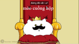 Mèo cuồng hộp