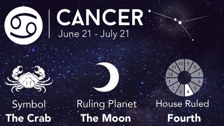 FALLING INTO YOUR SMILE