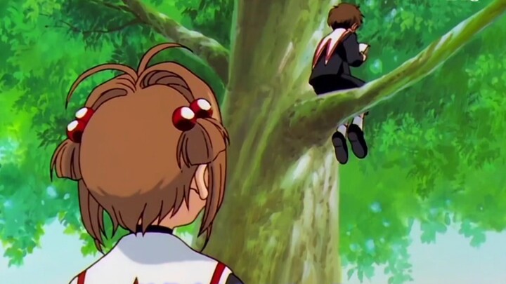 Don’t want to be a prince? Wish granted! | Sakura x Syaoran #CardinalSakura
