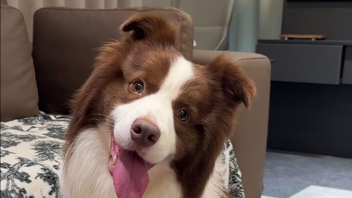 หยูจื่อ: ทนไม่ไหวแล้ว อยากกัดเลย! ชอบก็พิมพ์ 1 นะคะ