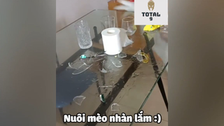 Tổng Hợp Những Khoảnh Khắc Hài Hước Của Động Vật 134 #hai