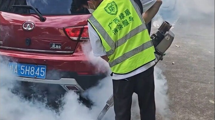 Thật thư giãn khi xem họ giết gián!