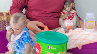 Little Toto so lovely sits down gently on Mom's lap waiting for milk. Yaya so active playing around