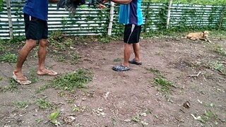 exercise ng mga panlaban sa stagan